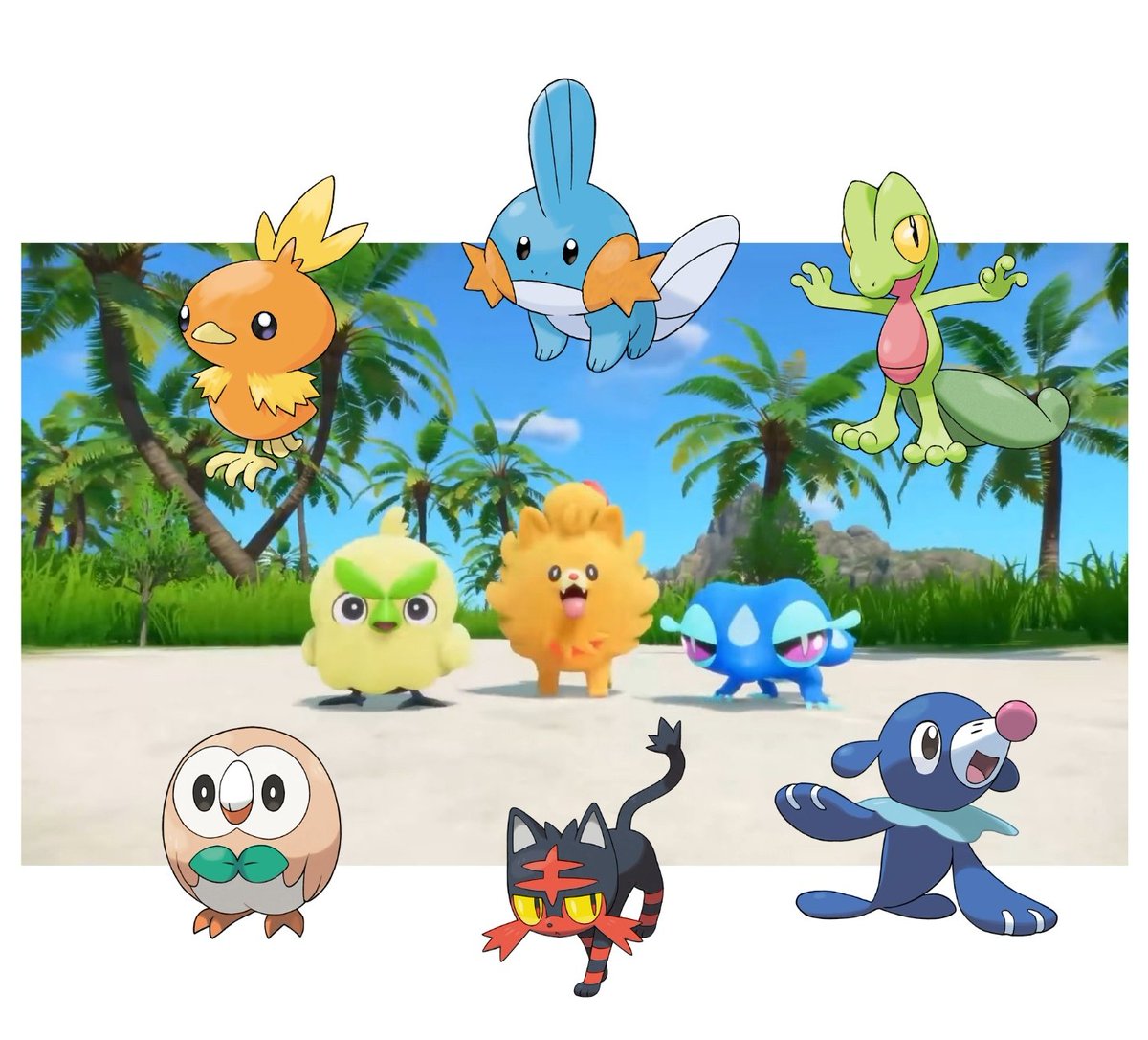 🦑uminotami🚀 tweet media