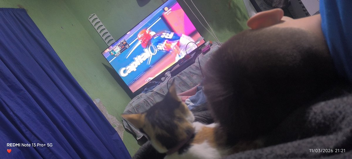 karyvito's tweet photo. Disfrutando el juego con mi hijo y mi gata #beisbolxTELEVEn   vamos Venezuela https://t.co/1B8GEXWgz1