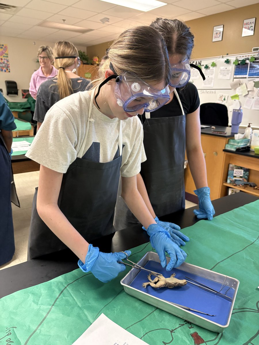 Rogers Middle School tweet media