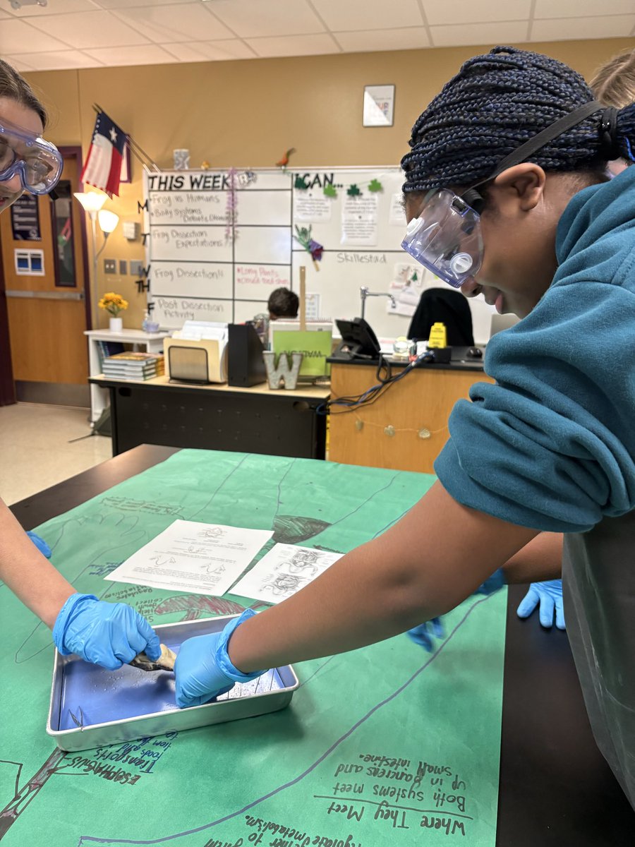 Rogers Middle School tweet media