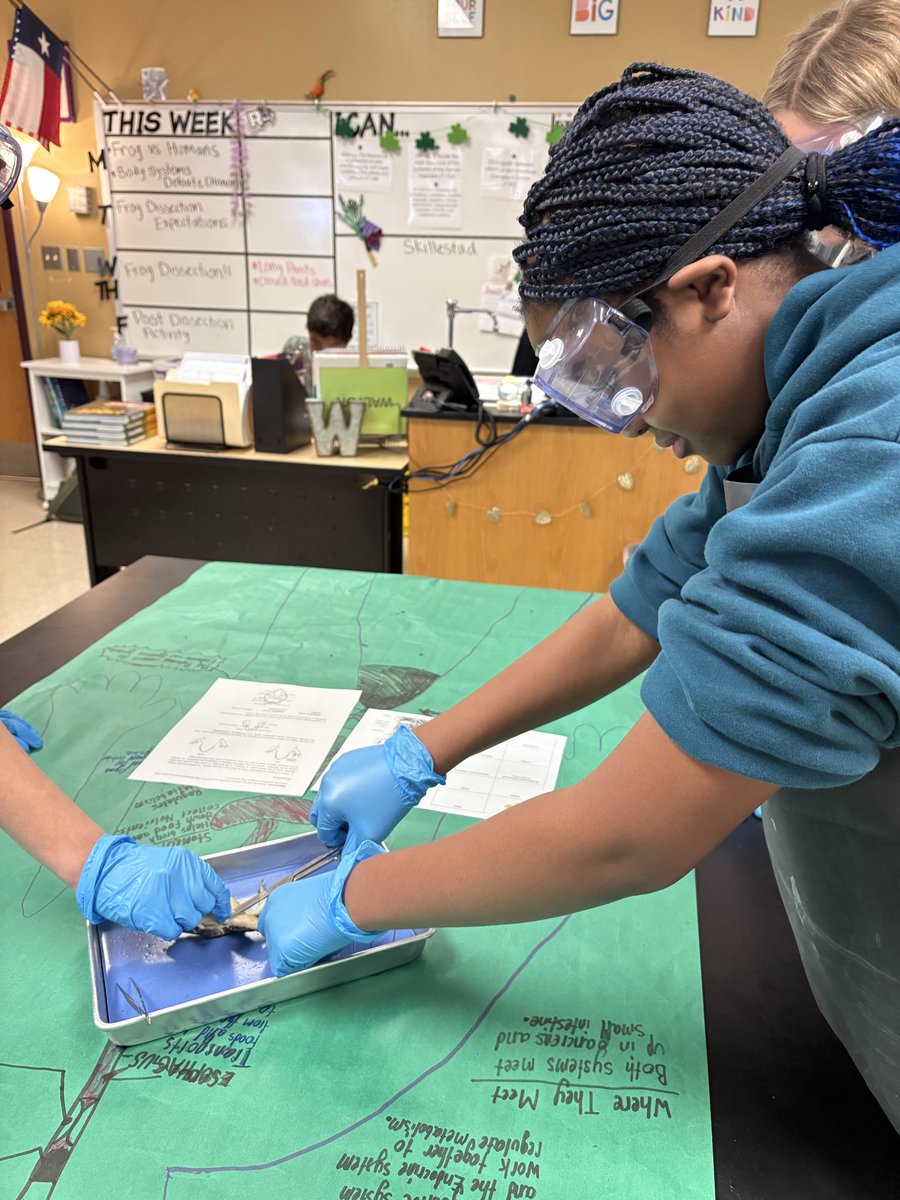 Rogers Middle School tweet media