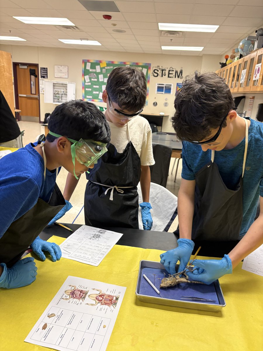 Rogers Middle School tweet media