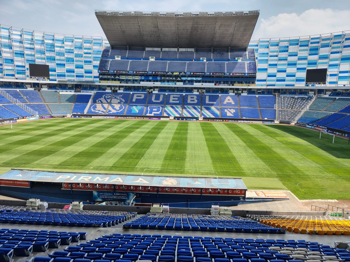 Pepe Hanan tweet media