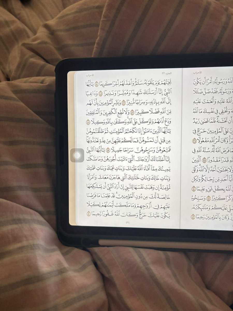 refal🧚🏻♀️ tweet media