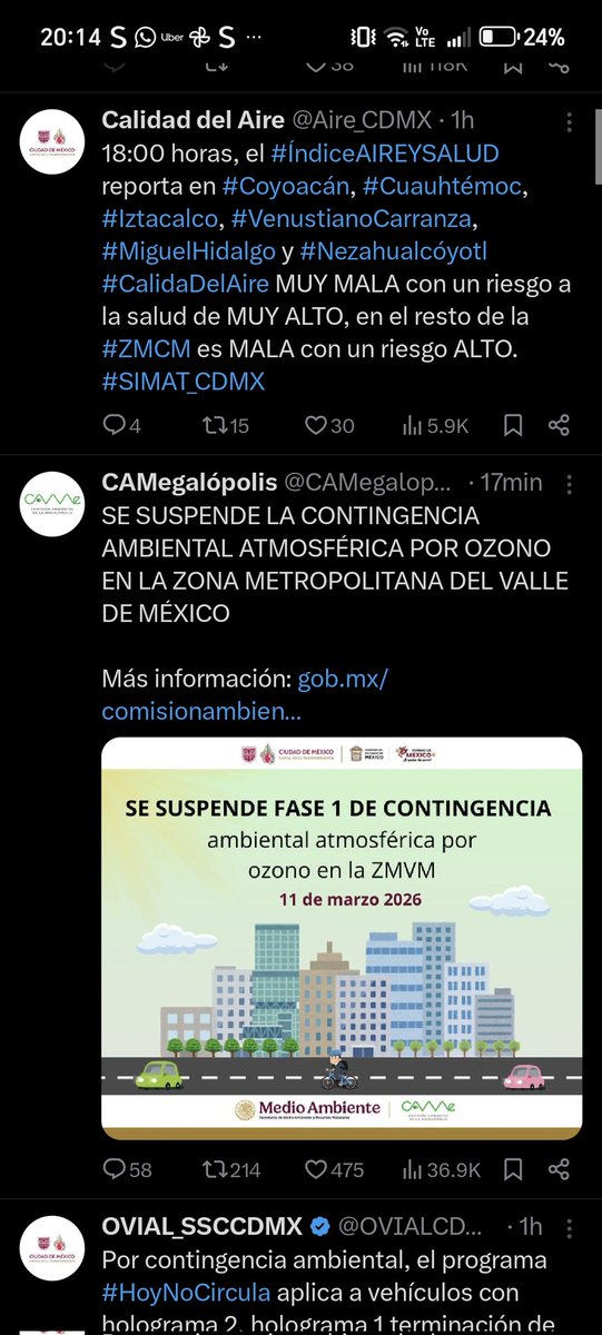 Elena Andrade tweet media