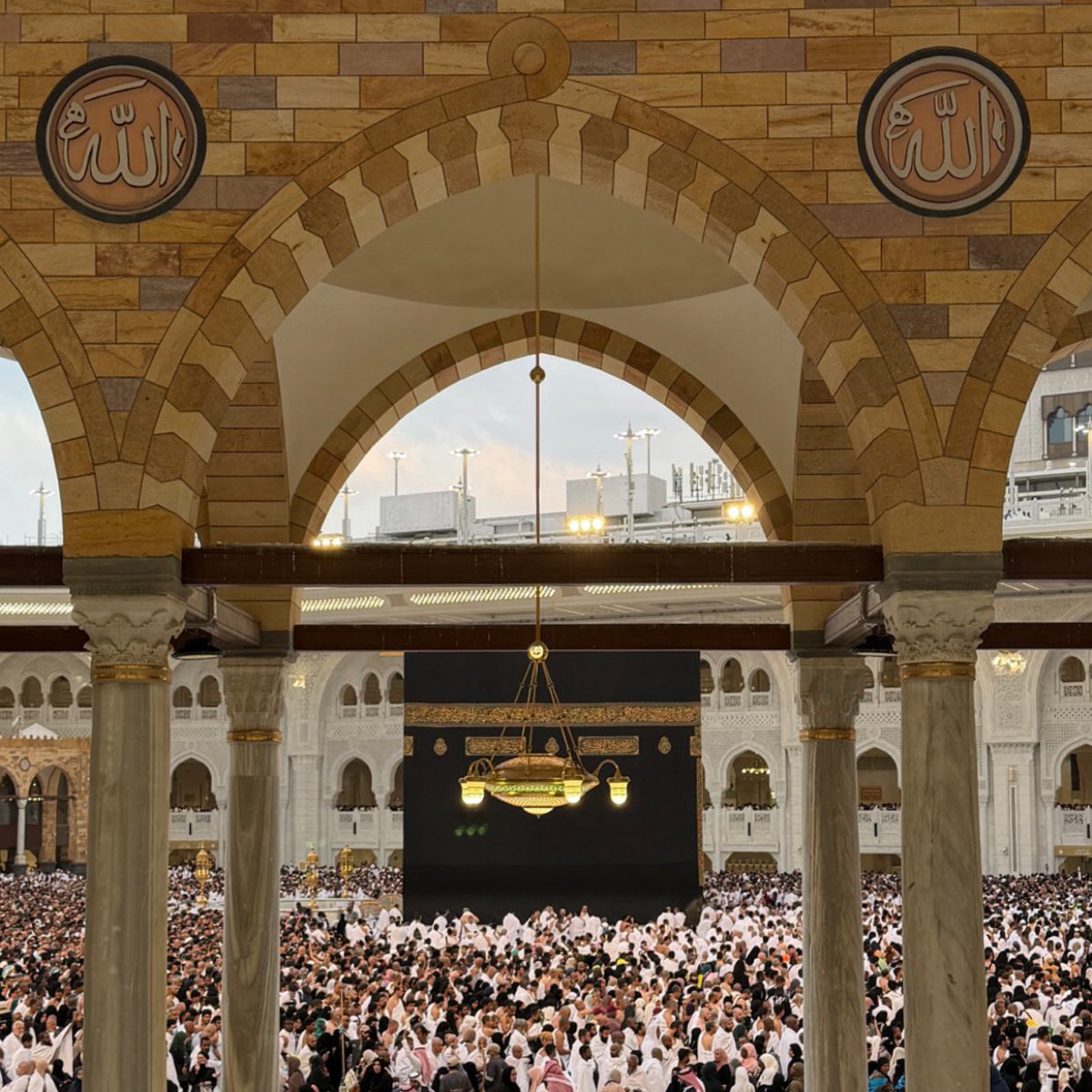 لــؤلؤة tweet media