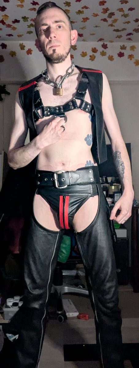 Dumber Rubber tweet media