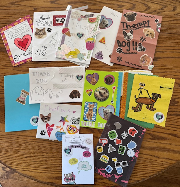 North Star Therapy Animals of Pet Partners tweet media