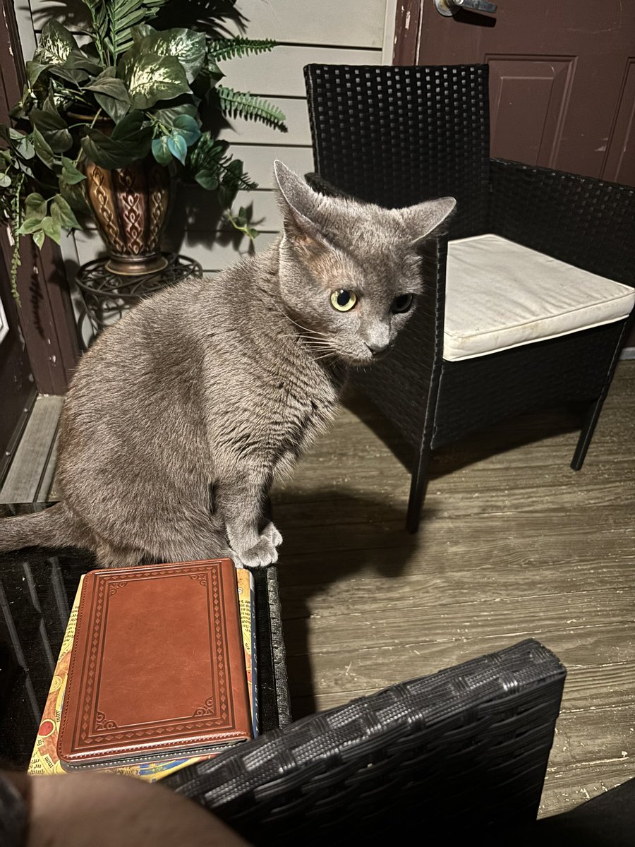 Jenna DeVillier tweet media