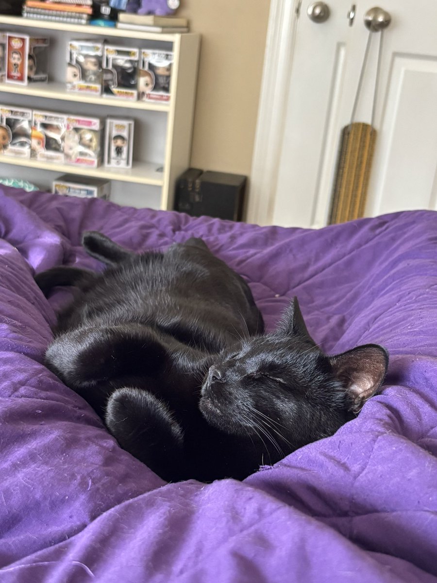 Jenna DeVillier tweet media