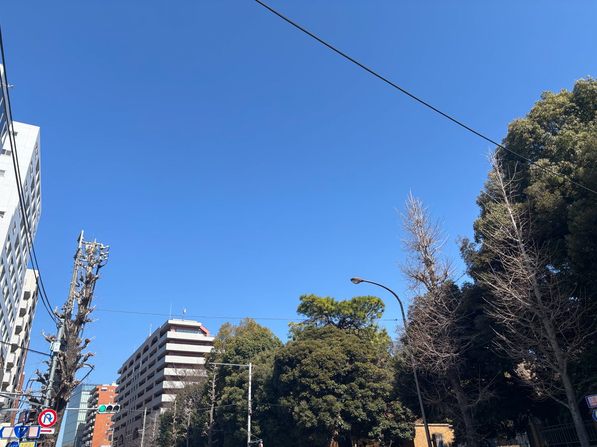 おはようございます✨
今の #文京区 西片の天気は晴れ☀気温は9℃

今日は #モスの日 寒暖差が激しいですね
体調を崩さないようにしないと
今日も良い一日を😁

#今日は何の日
#イマソラ
#公式企業が地元の天気を言い合う