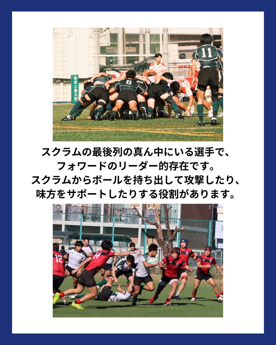sciTokyo_rfc's tweet photo. 本日はFWラストのポジション、No.8を紹介します！

スクラム最後尾に位置し、
攻撃の起点となるポジションです。

ボールを持って前に出る力強さと、
状況を判断する落ち着きが求められます。

FWの最後尾として、
前線とバックスをつなぐ存在です！

#春から科学大 #科学大 #ラグビー #部活 #大岡山 https://t.co/QdV3n9K0Ud