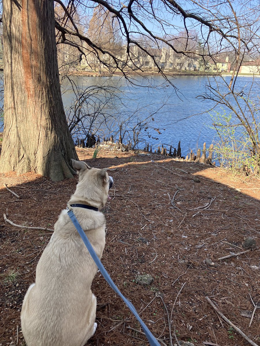 Jon -Commissions Closed- tweet media