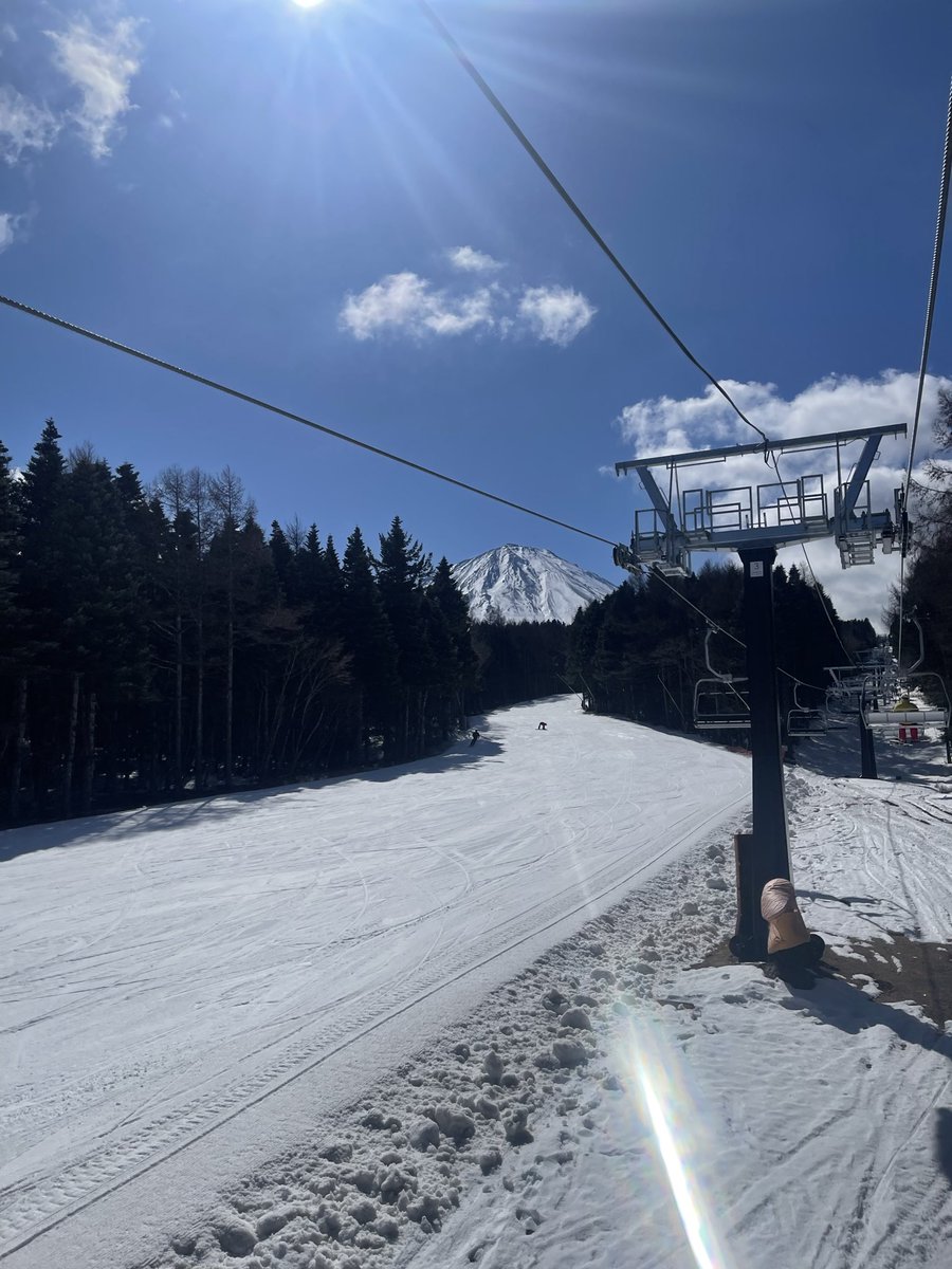 Little Lovebirds tweet media