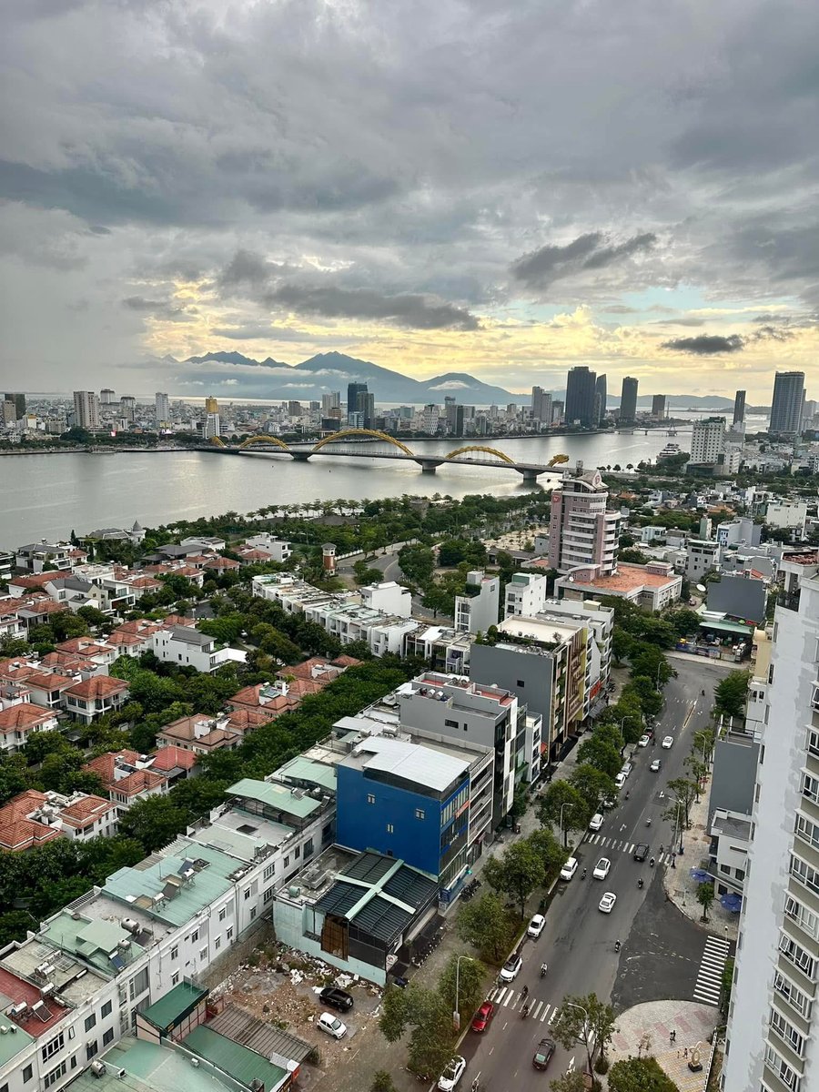 Phan Thị Hoài Thơ tweet media