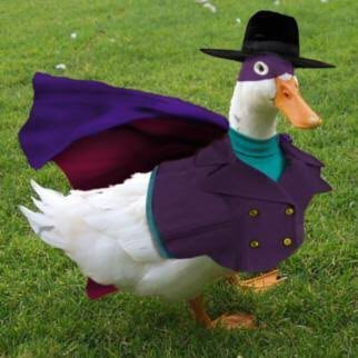 DannyWijnhoud's tweet image. Op de woensdagavond zelfbenoemd #PutinVersteher #Duk. vriend van de foute #JohanDerksen, weer extreem fout in de hoofdrol bij #JohnDeMol @SBS6 #VandaagInside met ook de extreem opportunistische foute  #TinaNijkamp! 

#WeirdDuck #Nederland2026