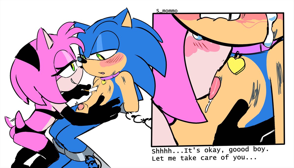 Sonic The Quickshot tweet media