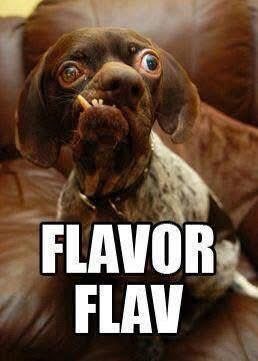 SuperNikoPower tweet media