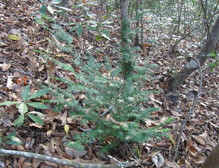 Buffalo Dan tweet media