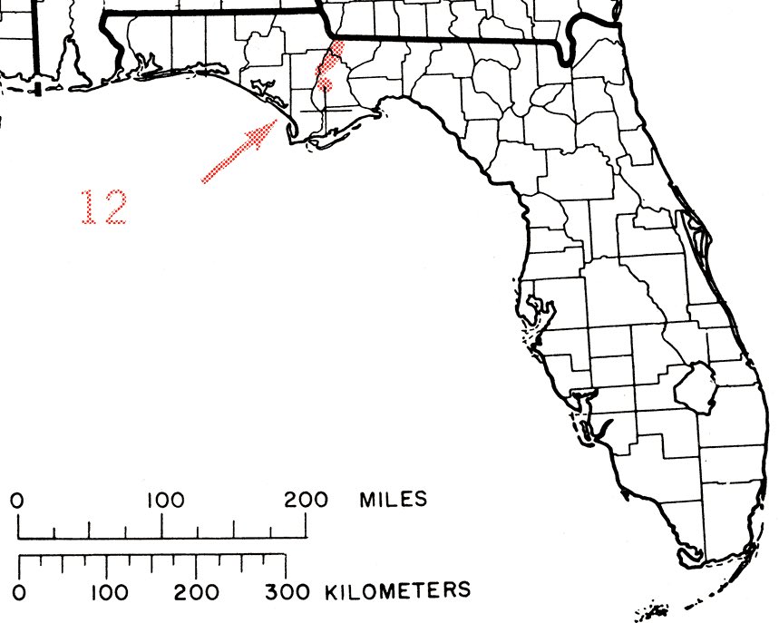 Buffalo Dan tweet media