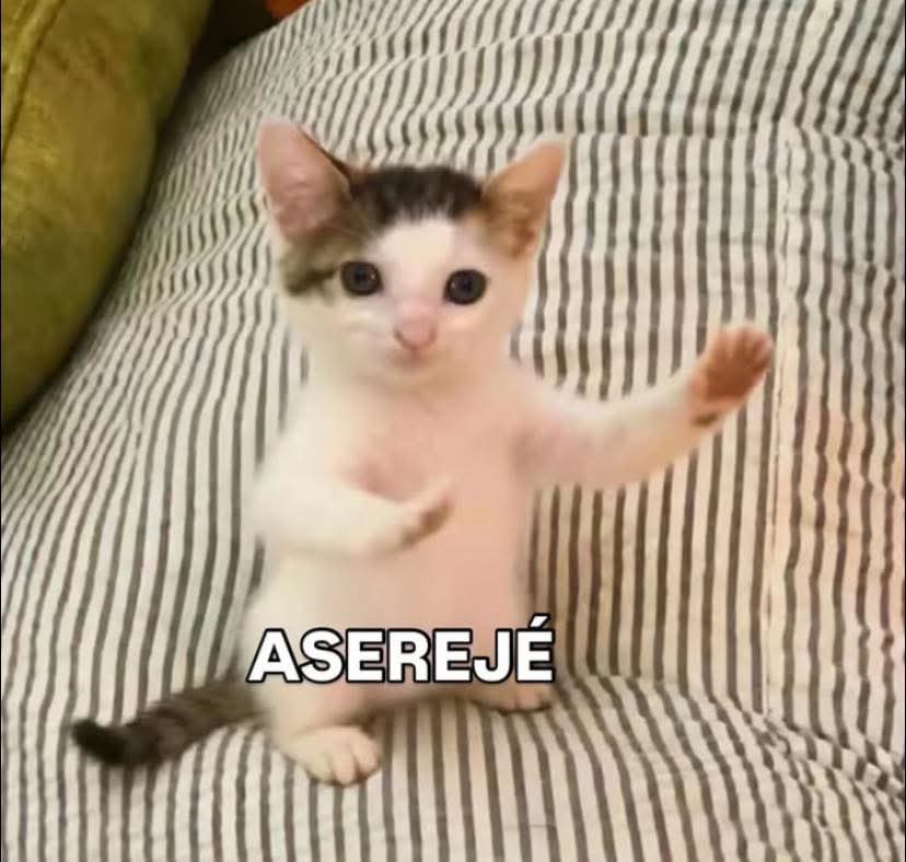 Jorge TURBIODOE. ☠️ tweet media