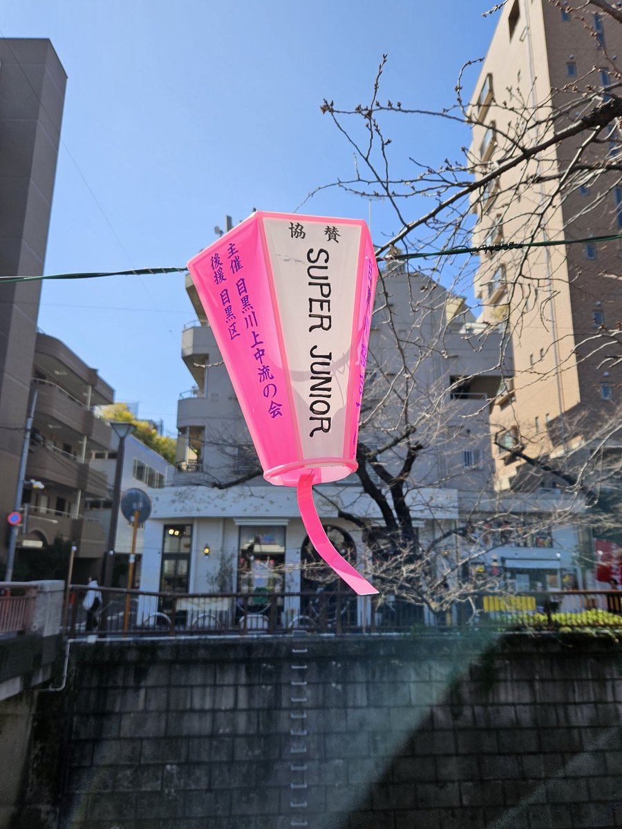 <a href="/leeteuklover23/">Halu☆하루코🐤🍒💙</a> ELF 💙🥰

マルザック7店の向かいにスーパージュニアの目黒川照明があります。
maps.app.goo.gl/b8oZVZeNZfXF8a…

#KimHeechul #Heechul #김희철 #金希澈 #ヒチョル #우주대스타
#SUPERJUNIOR #슈퍼주니어