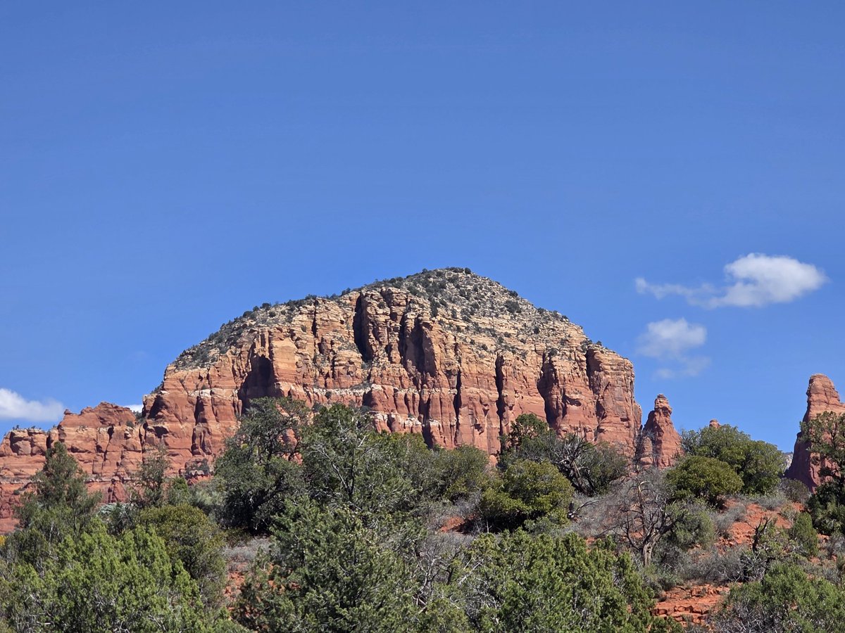 Cleomoon🌜{OGTweeters}🌛 tweet media