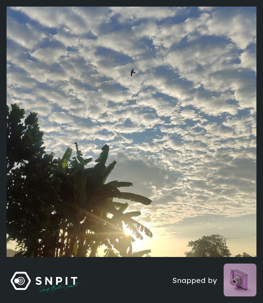 Toàn Trần Nhật tweet media