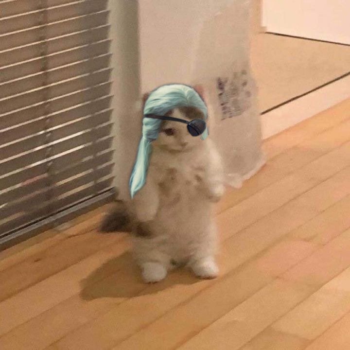 acerola⋆˖ ࣪⭑🪭 Jin's child tweet media