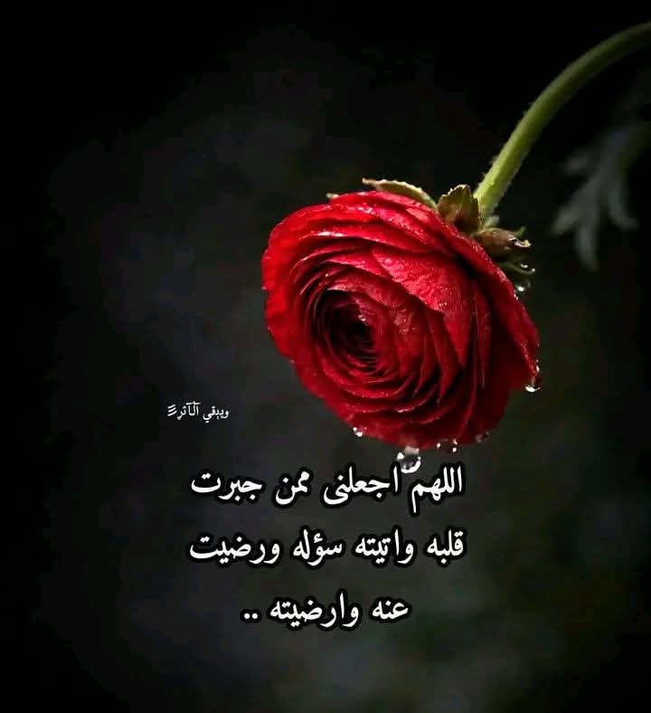 fme285's tweet photo. ربَّاهُ مَا ضاقـتْ .. وأنـتَ رجاؤُنا 
منْ حسبهُ مولاهُ .. كيفَ يخيبُ ؟؟! https://t.co/k5vEn5KSKE