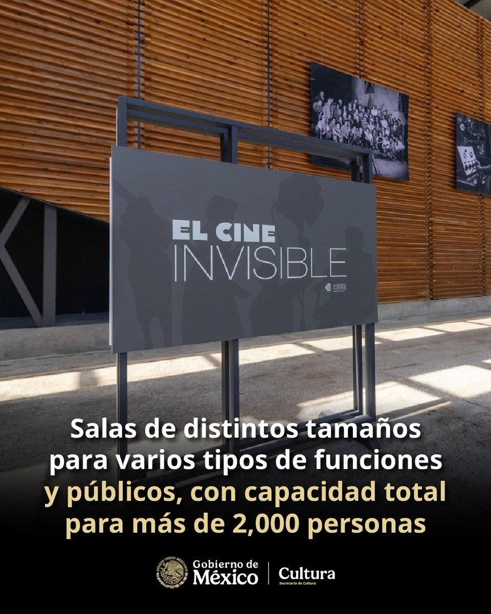 Claudia Curiel de Icaza tweet media