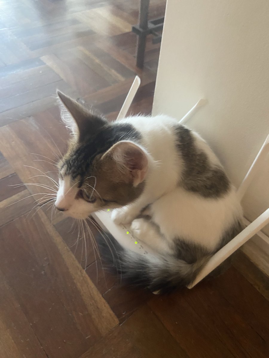 César 📼 tweet media