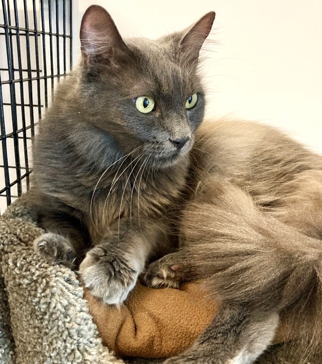 Renee' Martin tweet media