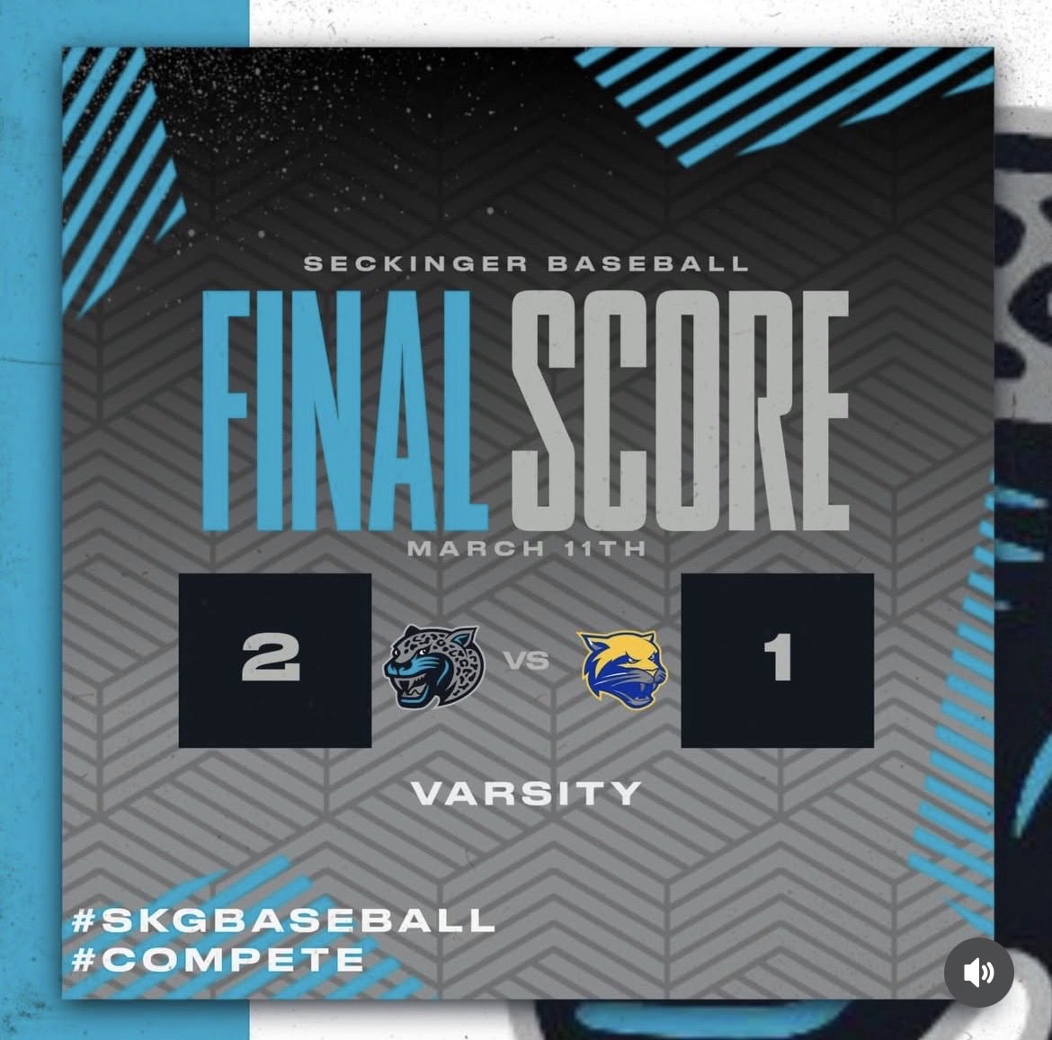 Seckinger High School Baseball tweet media