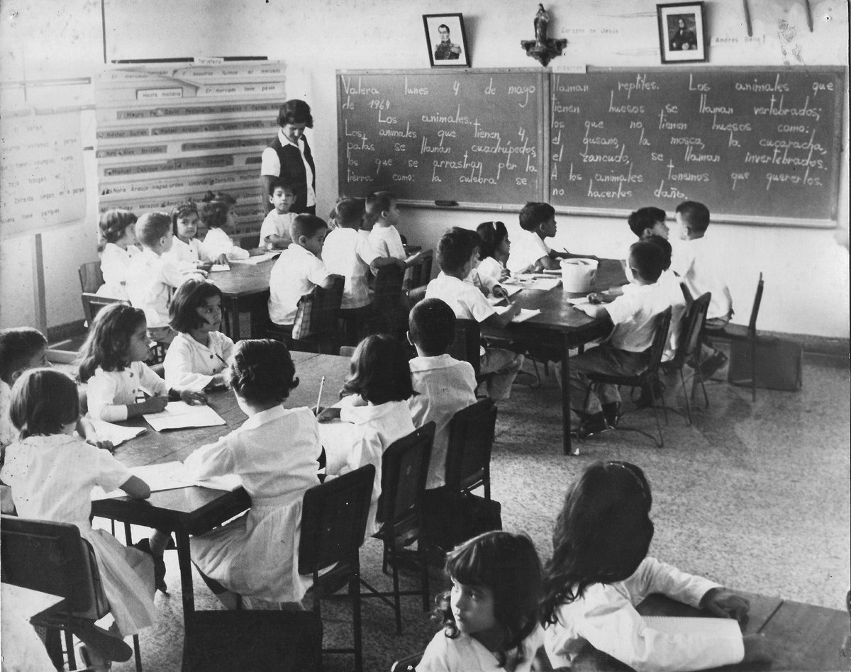 diego rojas ajmad tweet media