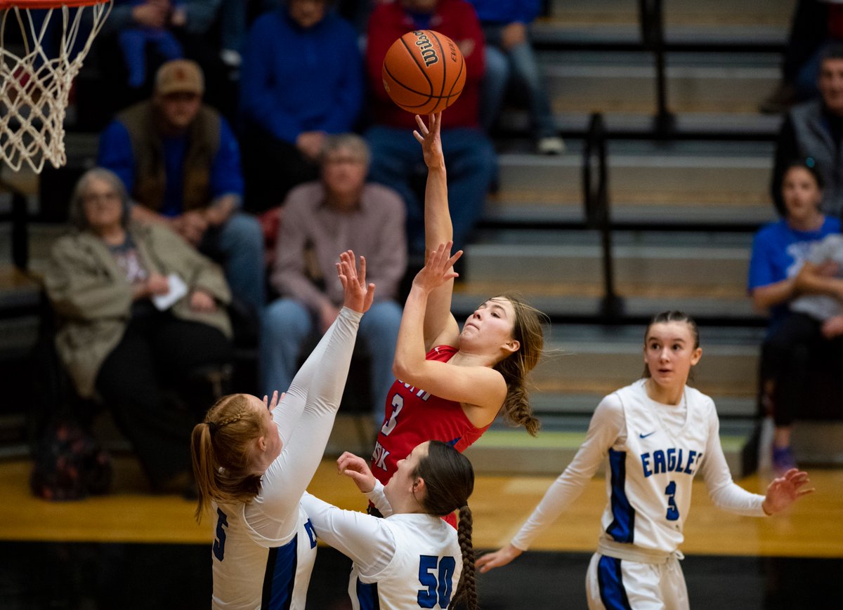 hank 🇰🇷 tweet media