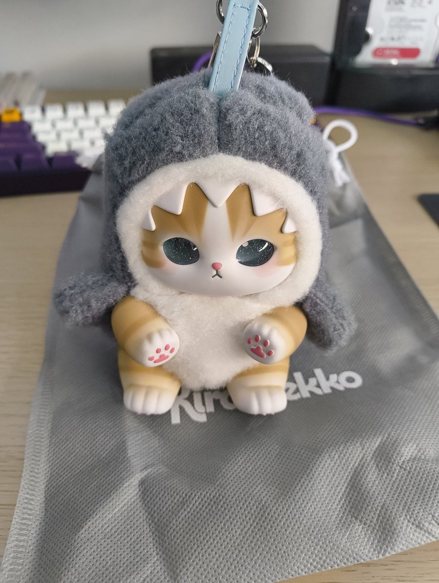 treeofbless's tweet photo. I got a shork cat https://t.co/uCrJwWTjC2