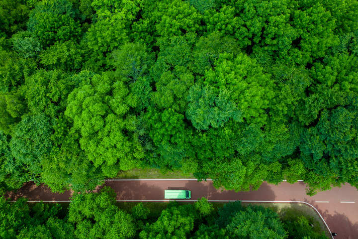 XinhuaChinese's tweet photo. 3月12日，第48个植树节如约而至。
不负绿水青山，中国“绿色答卷”抢眼。2025年完成国土绿化任务1.27亿亩，全国森林覆盖率达到25.09%，森林蓄积量达209.88亿立方米，专家测算中国人均“拥有”100棵树。 https://t.co/w6Bsc9E2Ry