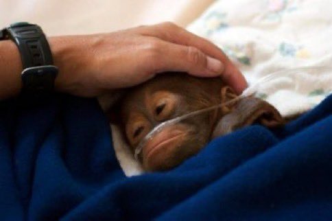 FujiFilm tweet media