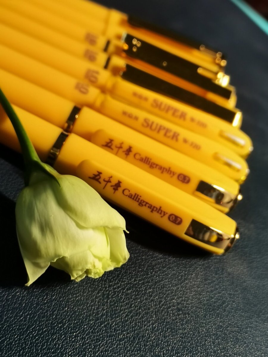 Bianca Coppens tweet media