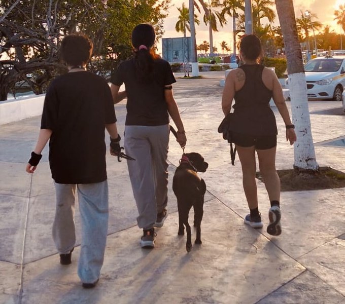 Mis bebés ❤️