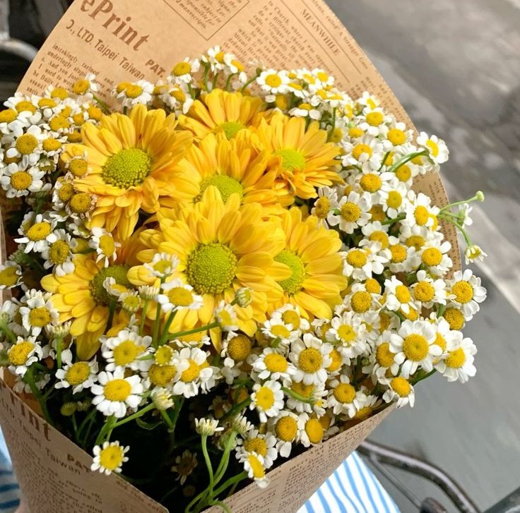 ͏ ͏ ͏ ͏ ͏ ͏ ͏ ͏ ͏ ͏ ͏ ͏ ͏ ͏ ͏ ͏ ͏͏ ͏ ͏ ͏ ͏
͏ ͏ ͏ ͏ ૈ☕️ ּ໋᳝݊  ᛈombo: Luen ✨️

𔓘 𝐅ricassé.
𔓘 𝐂afé gelado.
𔓘 𝐒noopy de croché.
𔓘 𝐁uquê de margaridas.

Em dedicatória a: <a href="/neumindlubs/">dOutOr lucien 🪄🩺</a> ♡
(sugestão de apresentação: )