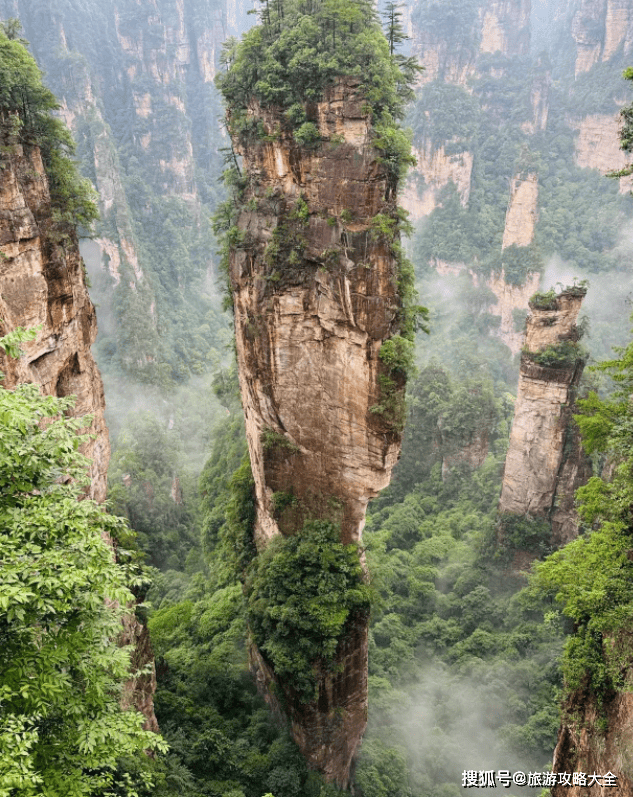 Morocha_AG's tweet photo. Sunrise hike at Zhangjiajie’s Avatar Mountains  Captured the misty peaks at golden hour—worth every step up! #NatureLovers #TravelDiaries https://t.co/4YR4eP3uTg