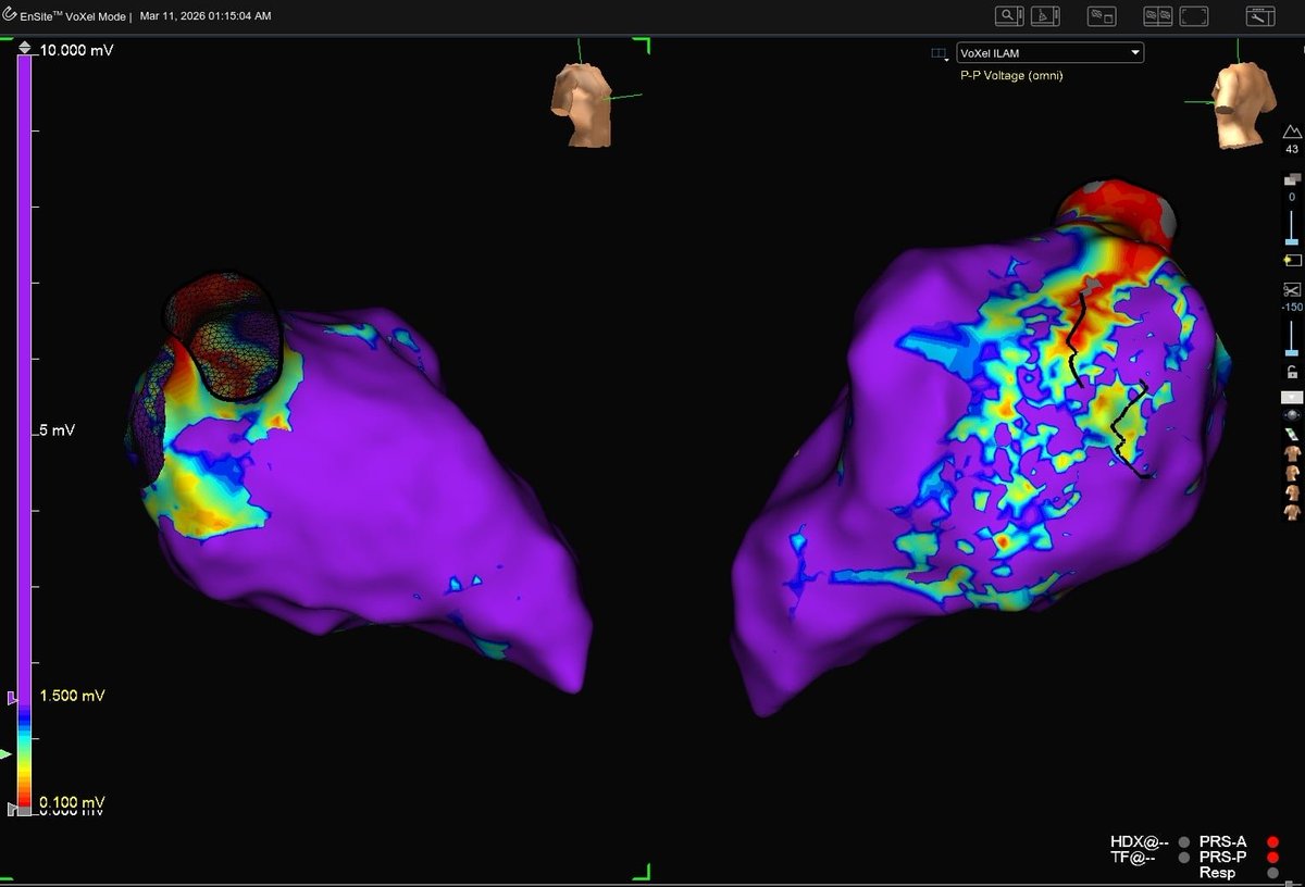 Ahmed Teebi, MD MPH MSc(Ox)🗝️ tweet media