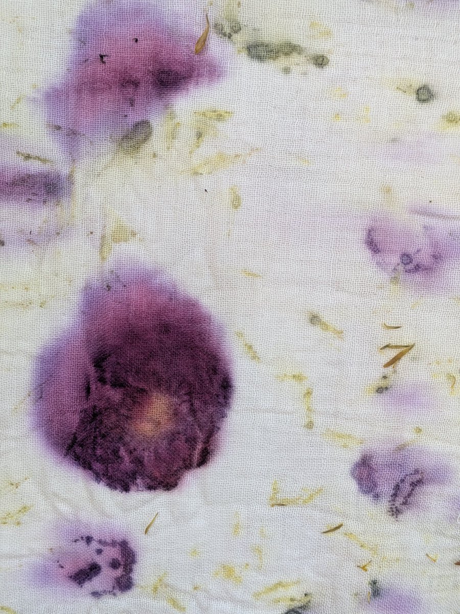 KalyaniMuktevi's tweet image. Dyeing muslin cloth with vegetable dyes is so much more than just a craft; it feels like we are wearing the colors of the earth! #rose #mehndi #turmeric #onionpeels