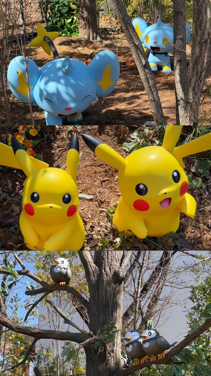 うーたん tweet media