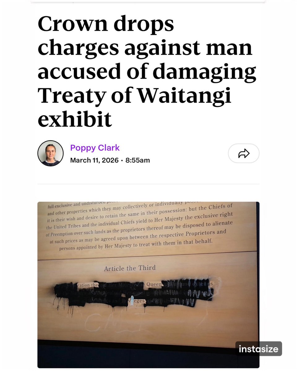 𝓑𝓸𝓫 𝓜𝓬𝓒𝓸𝓼𝓴𝓻𝓲𝓮 🇳🇿 tweet media