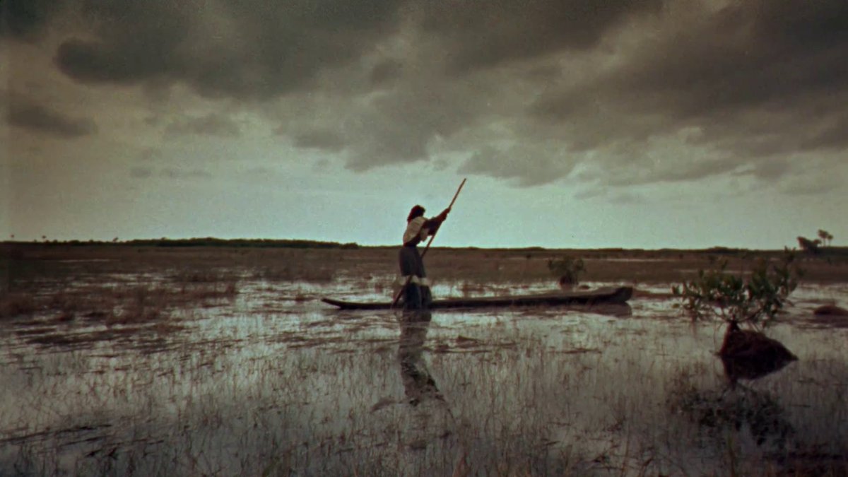 the wreck of a once promising youth tweet media