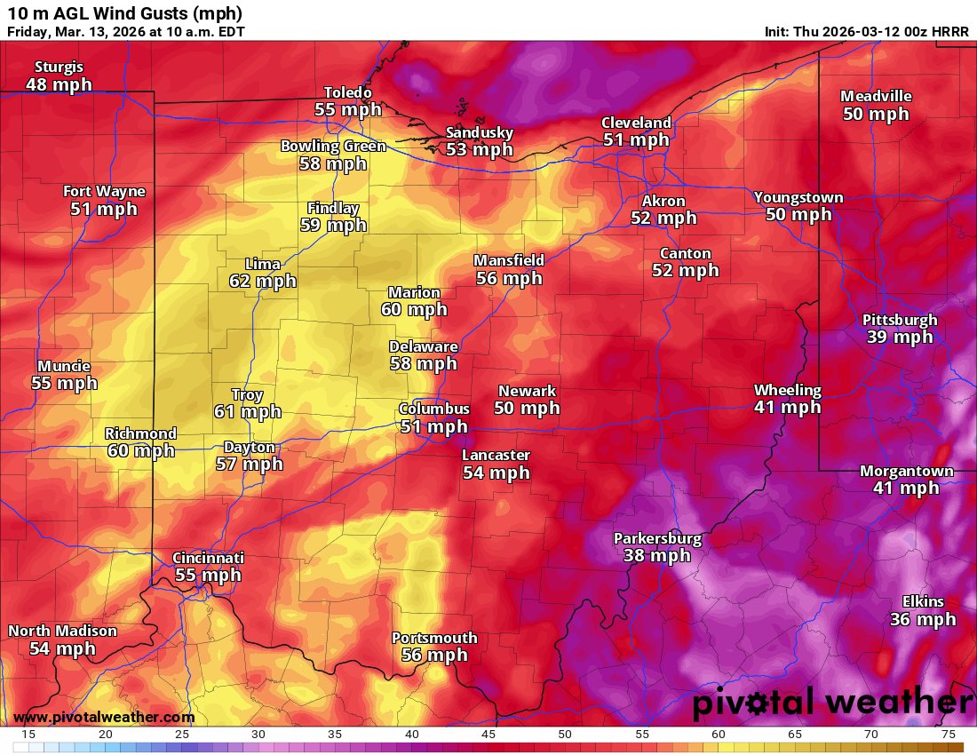 Tyler Sebree ⚡️ tweet media
