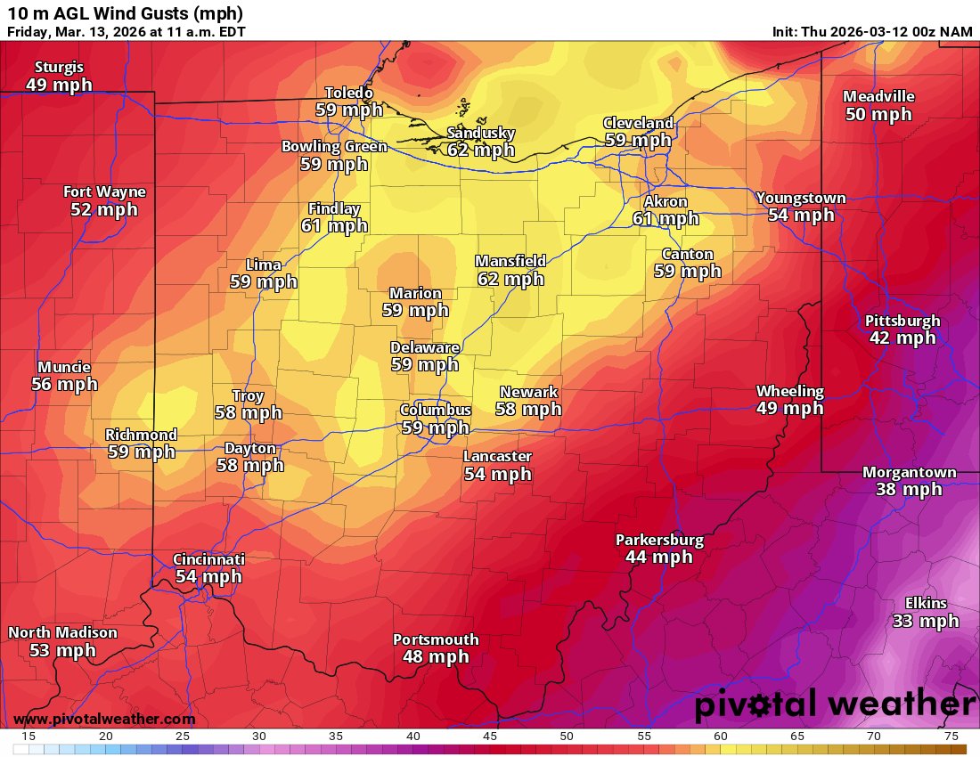 Tyler Sebree ⚡️ tweet media